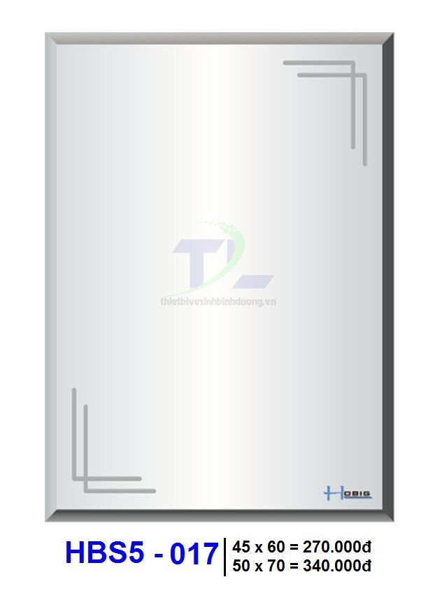 Gương soi phòng tắm HOBIG HBS5-017